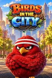 Birds in the City